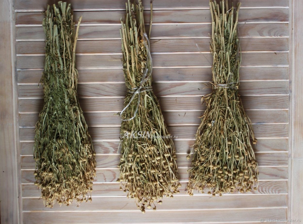 Гармала трава лечебные