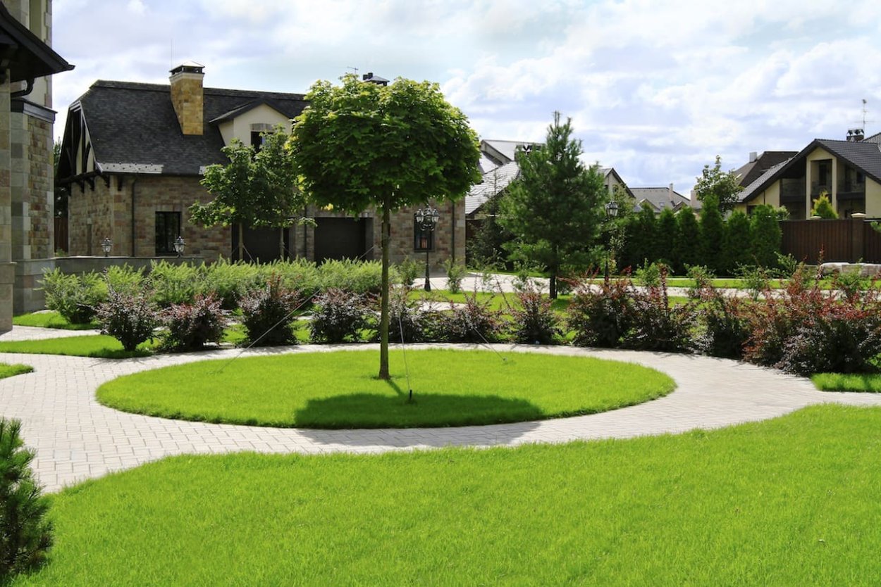 Партерный (английский) газон