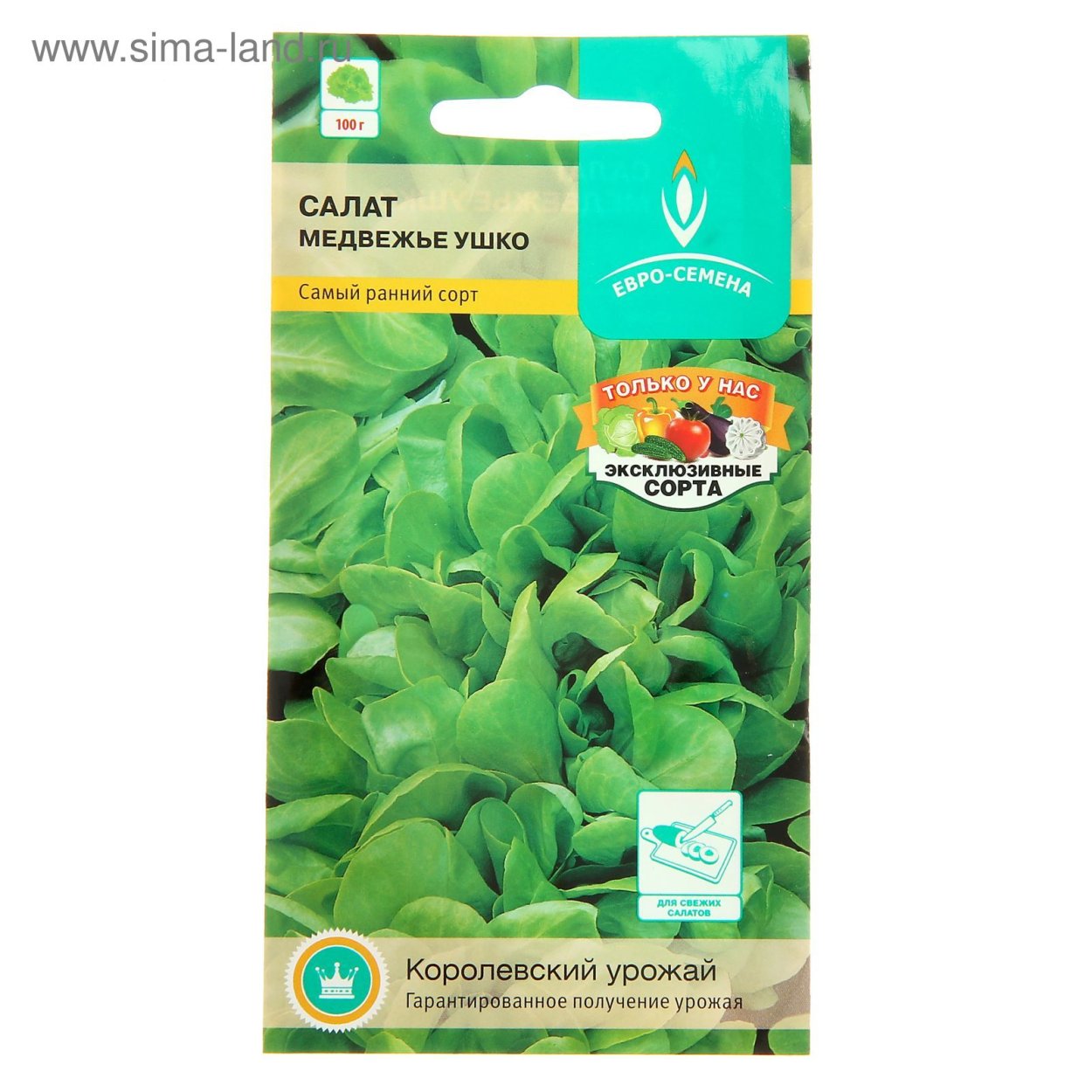 Коровяк (Вербаскум) скипетровидный