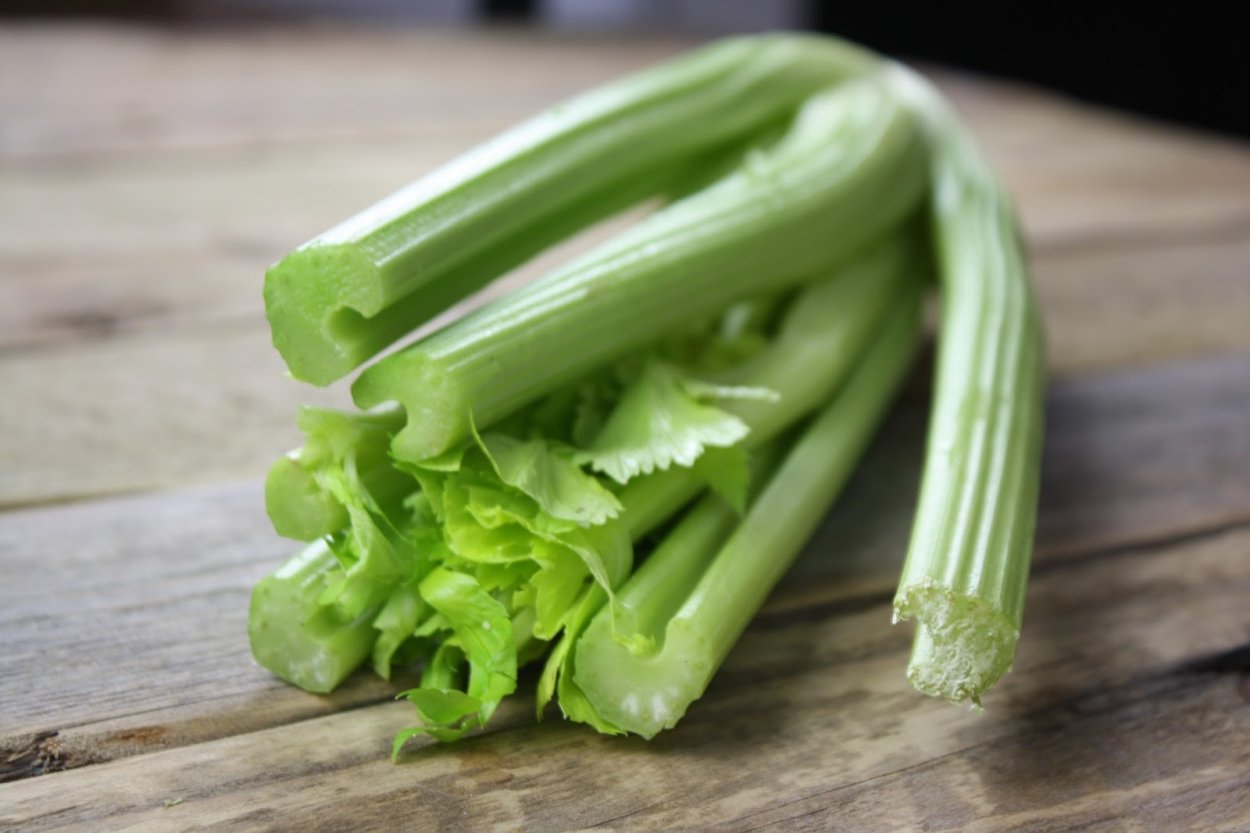 Сельдерей стеблевой