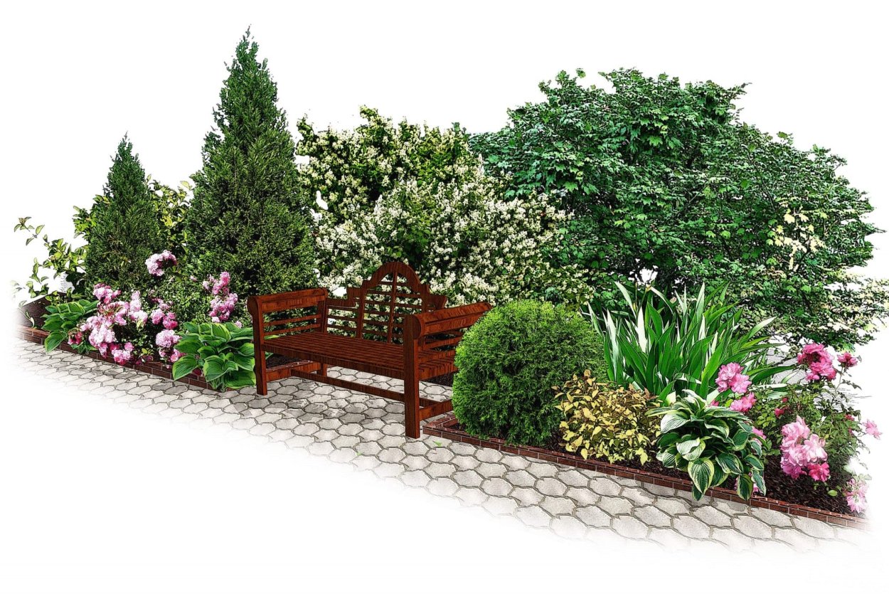 Клематис маньчжурский вертикальное Озеленение