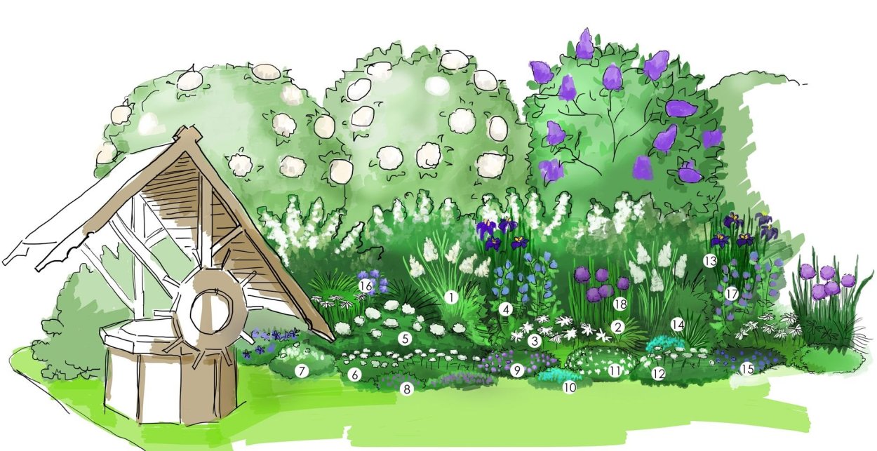 Клумба с пузыреплодником и гортензией