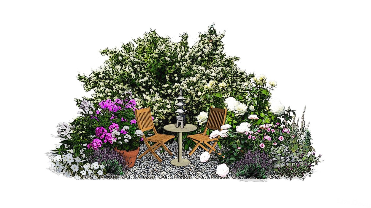 Клумба с сиренью и чубушником