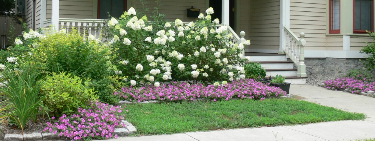 Клумба с цветами рисунок