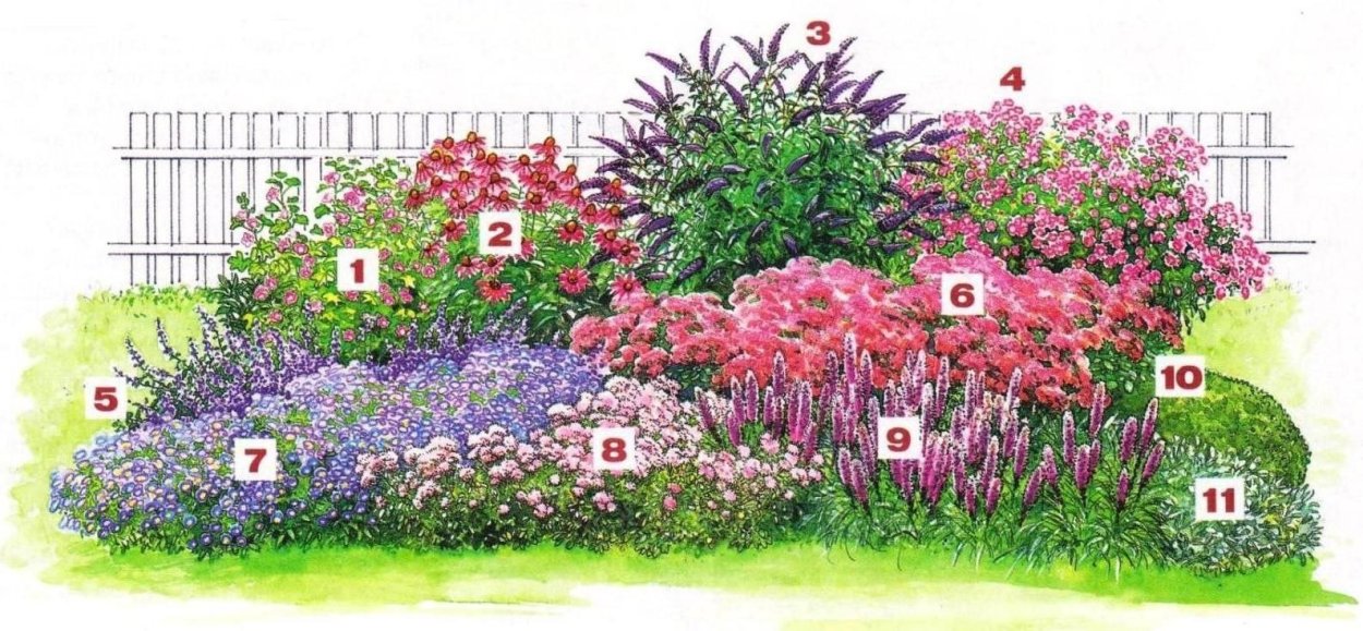 Миксбордеры с сиренью и спиреями
