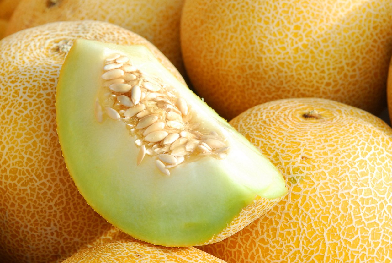 Половина дыни