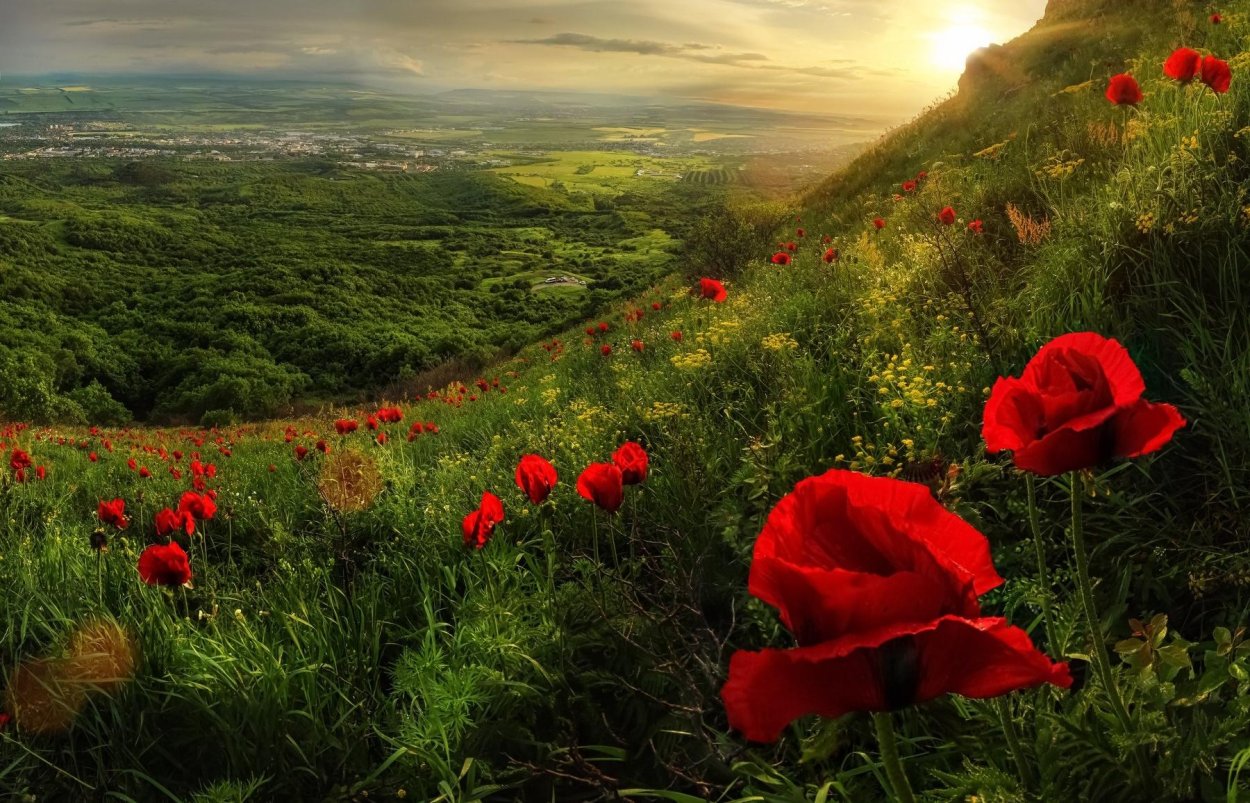 Гора Бештау закат маки