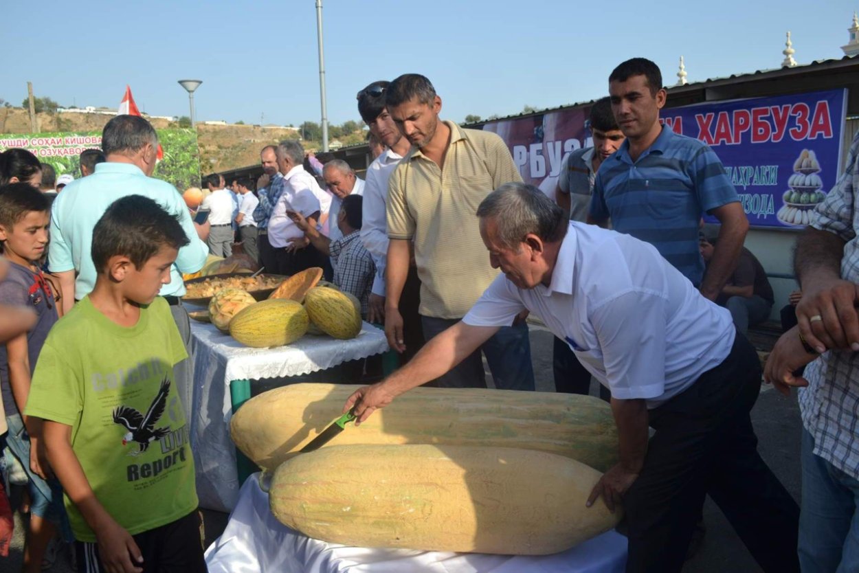 Таджикские дыни