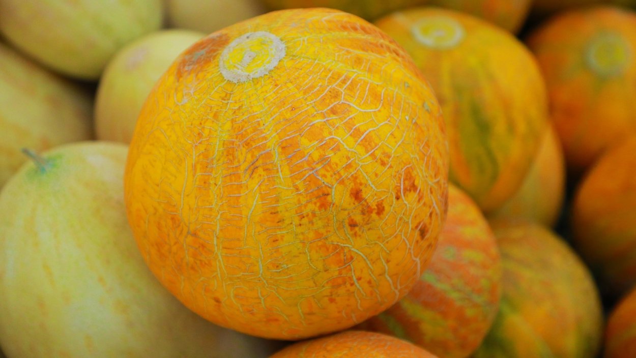 Ковун сайли