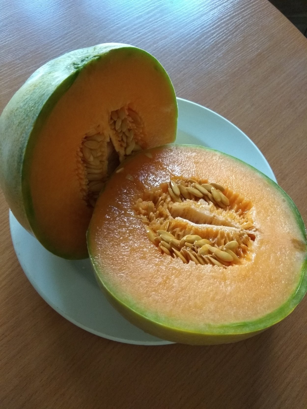 Кавайонская дыня