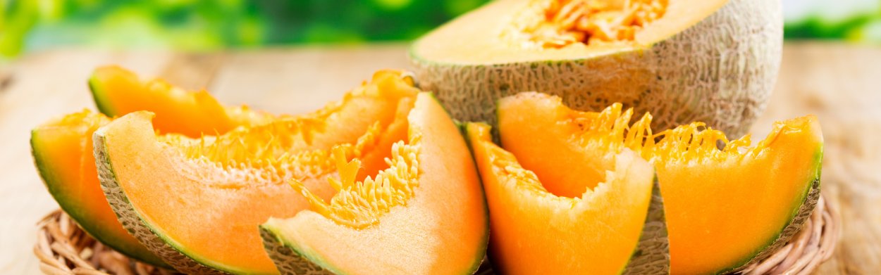 Арбузы дыни баннер