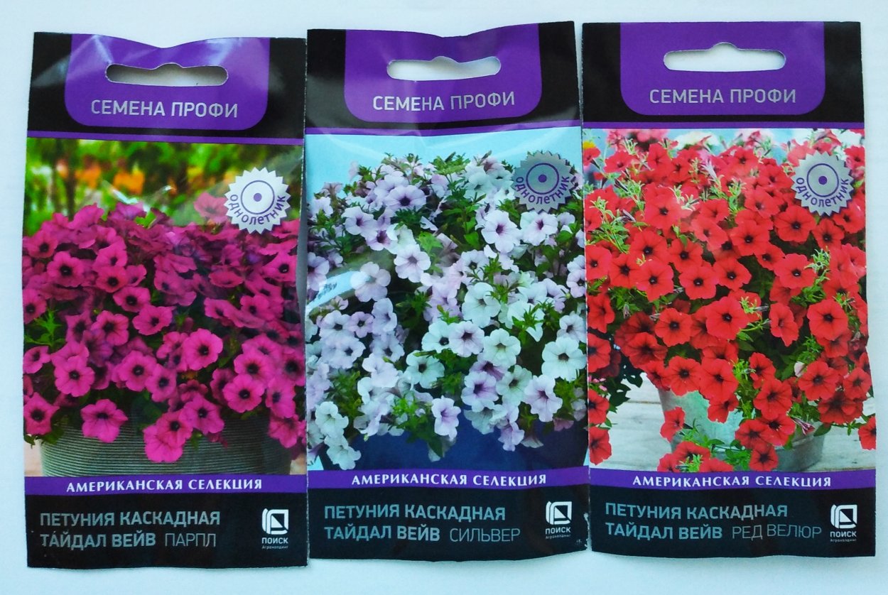 Петуния "Тайдел Вэйв" Сильвер f1 многоцветковая ампельная