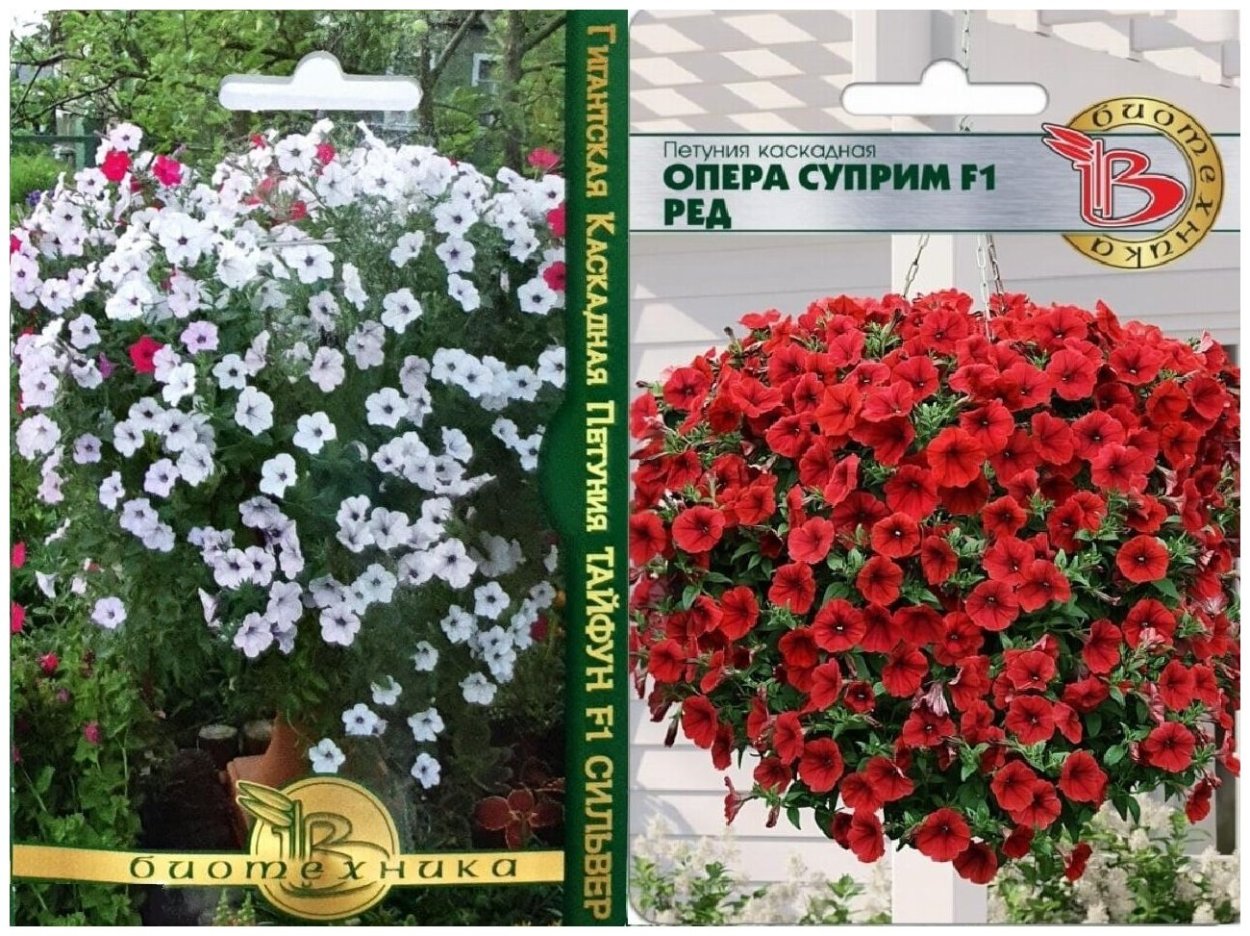 Гигантская каскадная петуния Сильвер f1