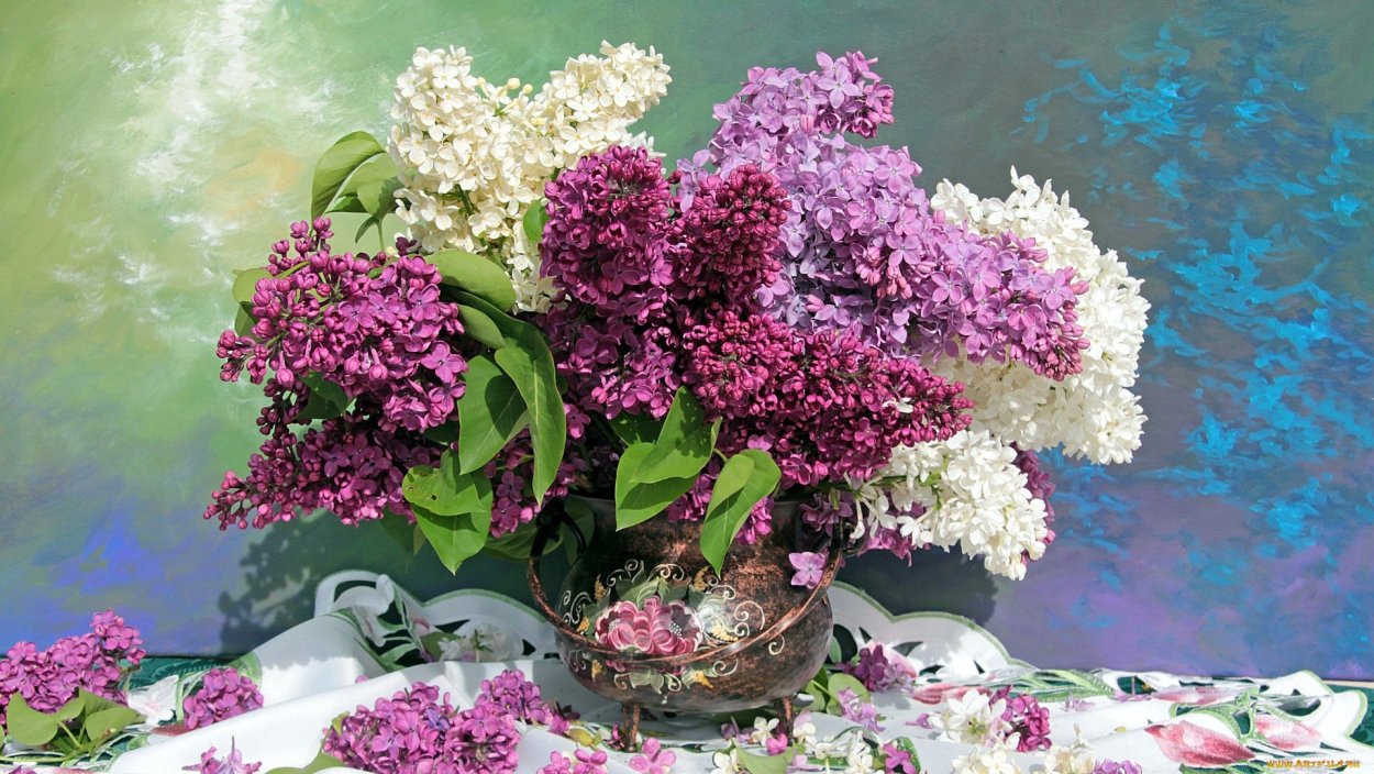 Охапка сирени