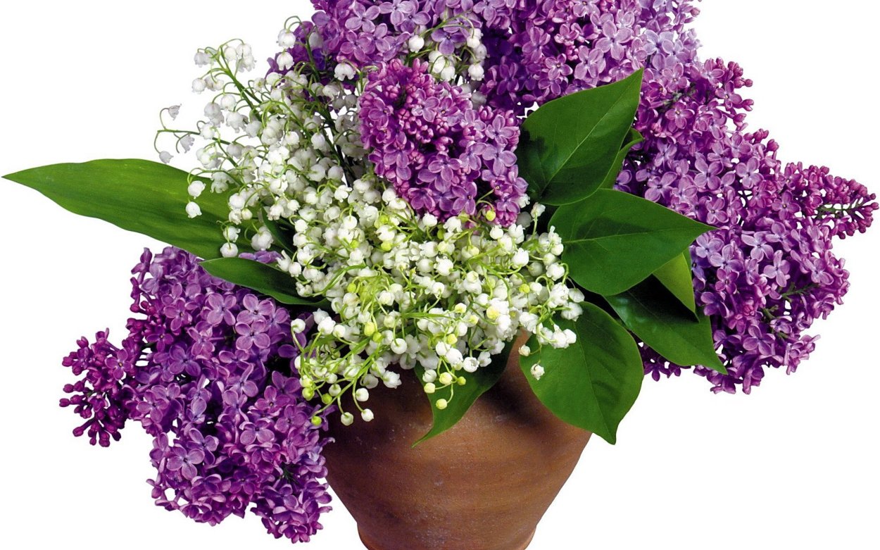 Художник Бузин сирень