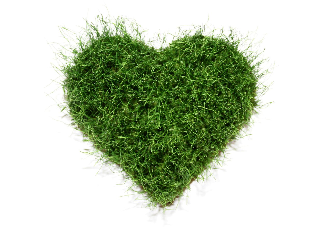 "Цветы любви"