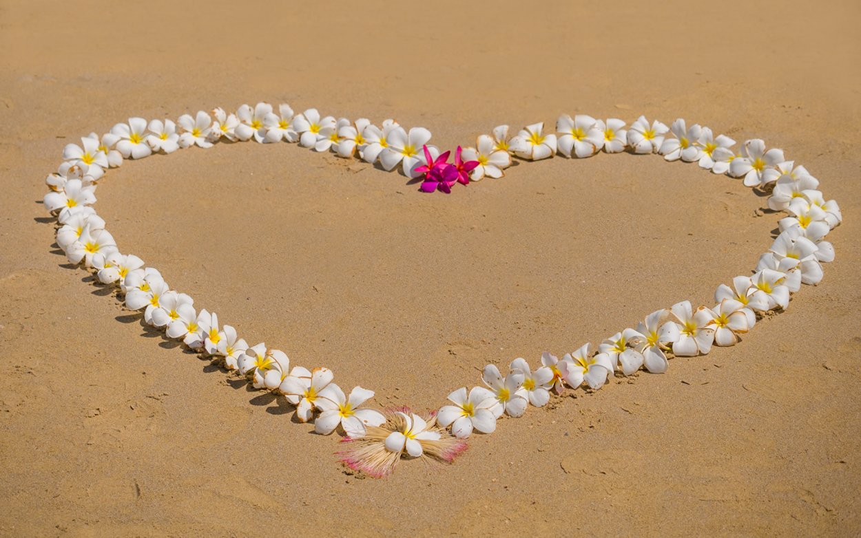 Нарциссы в ландшафте