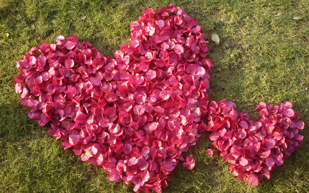 Природа в форме сердца