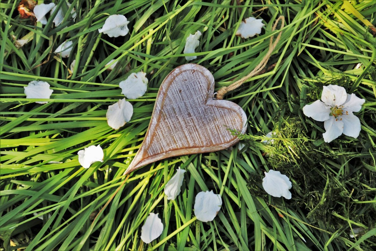 Сердечко из цветов