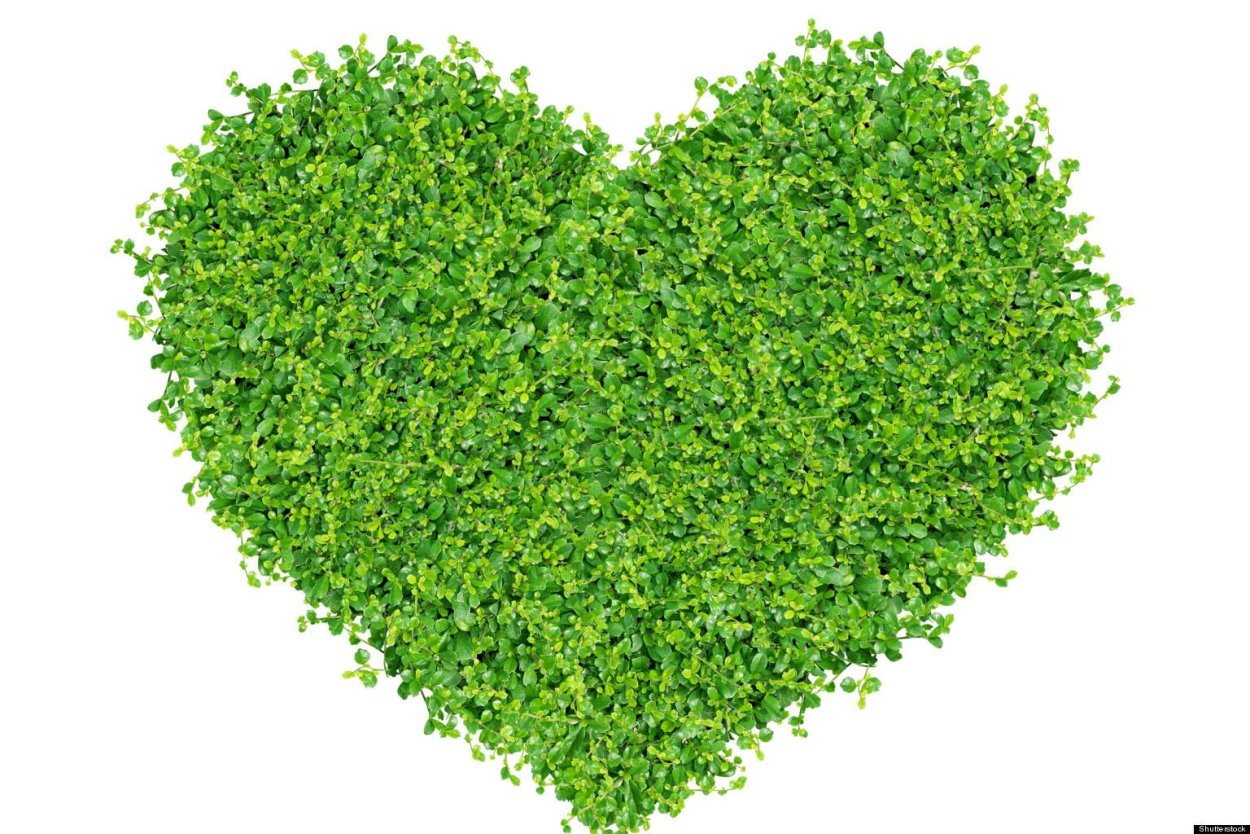 Травяное сердце