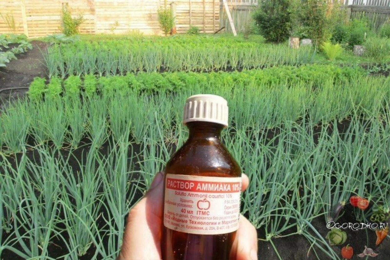 Логотип из травы