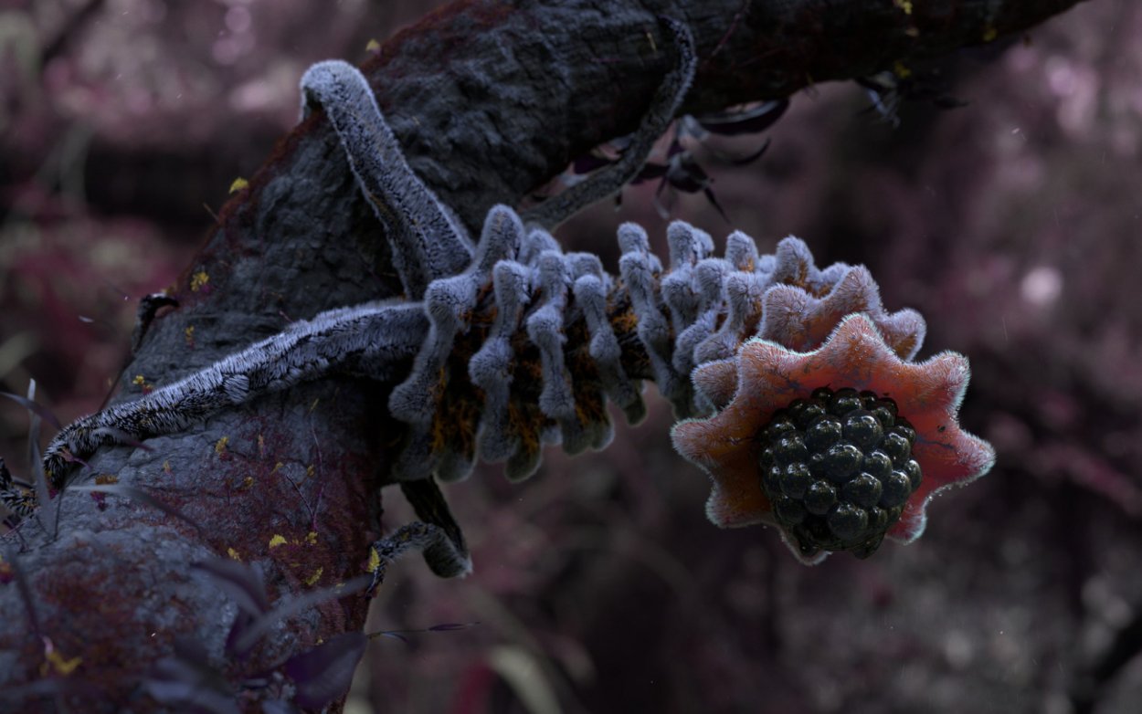 Автотрофные организмы