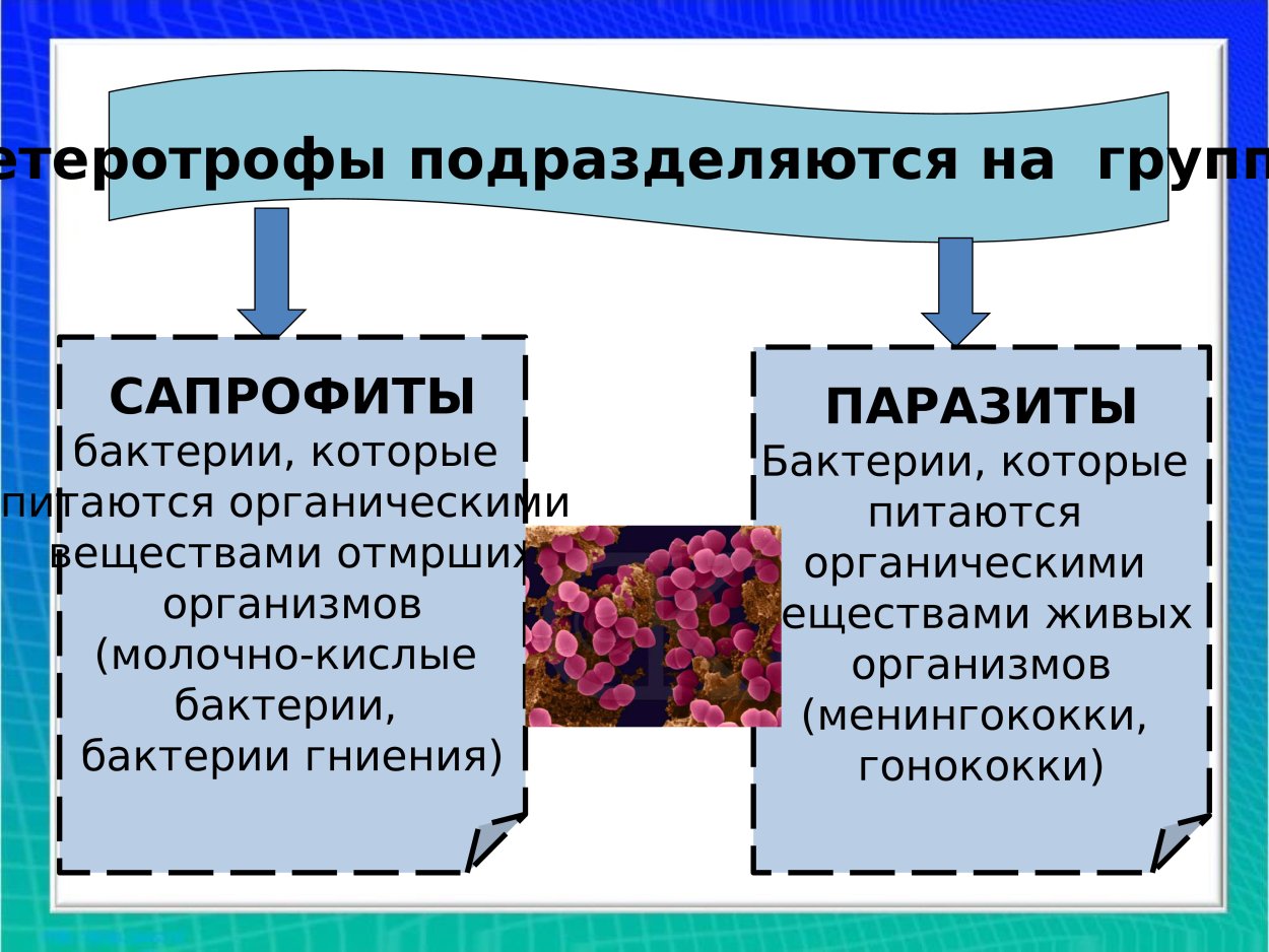 Повилика и заразиха