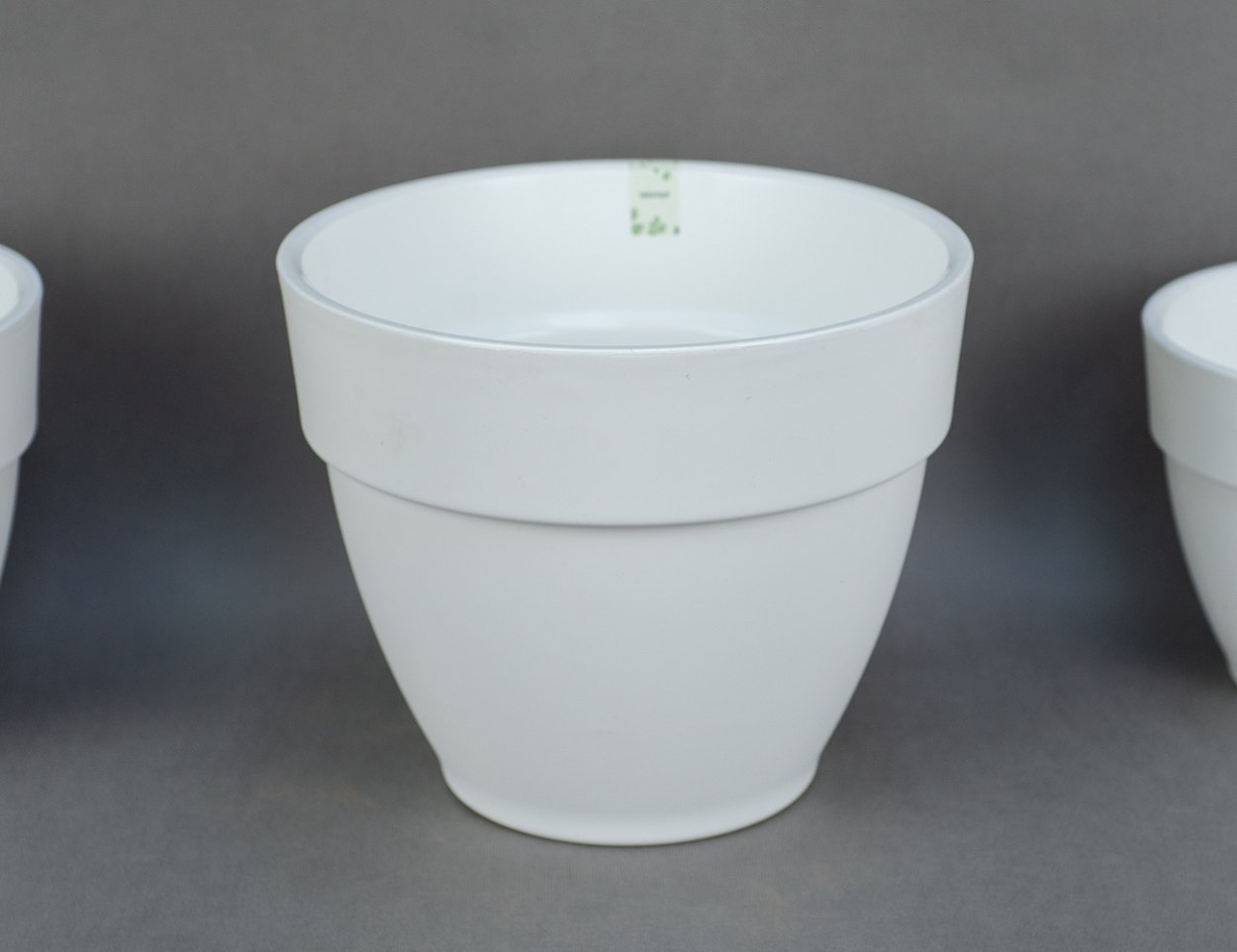 Эндемики Байкала растения