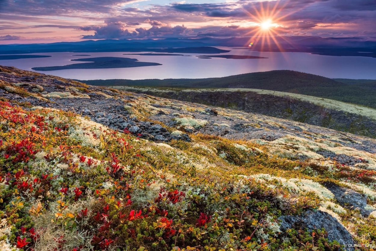 Кольский полуостров Хибины тундры