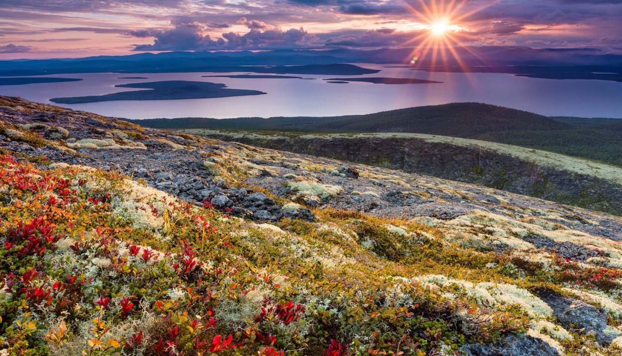 Тундра Мурманская область Заполярье