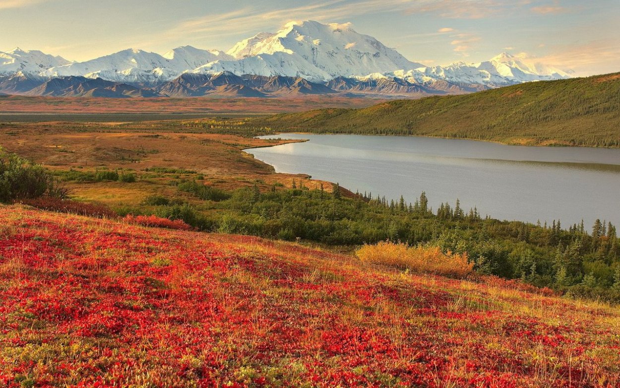 Дальний Восток Горная тундра