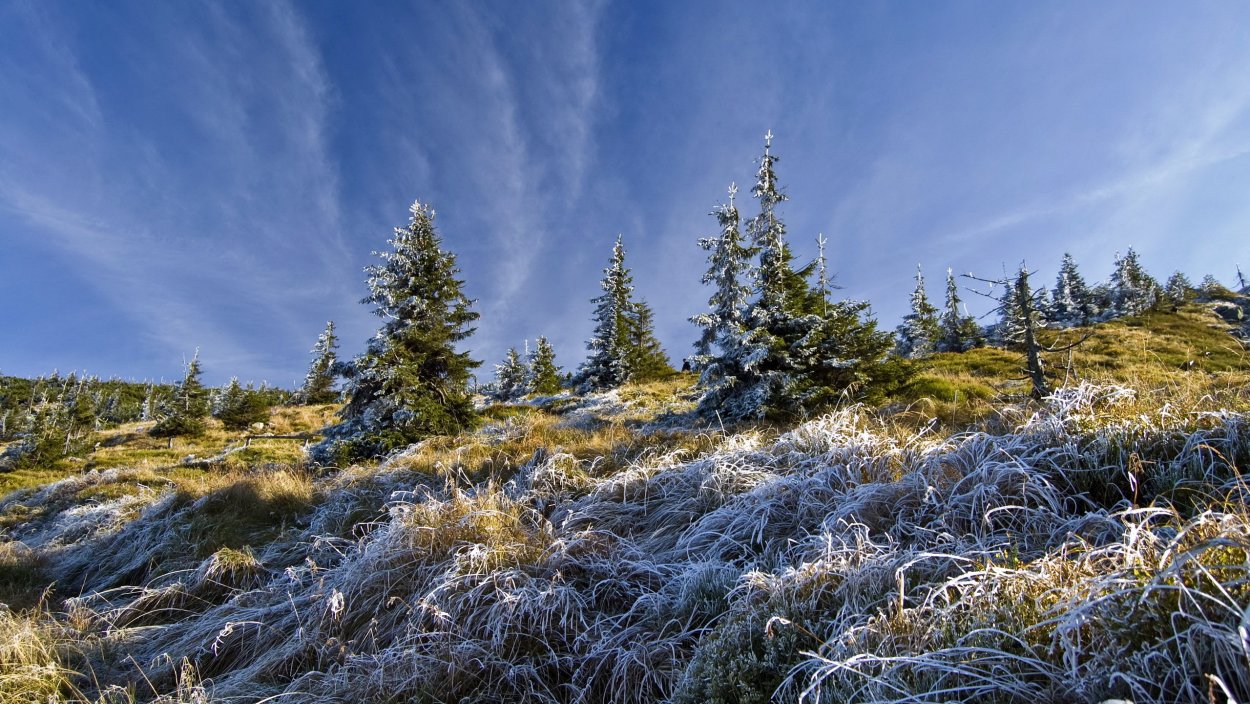 Тундра зимой