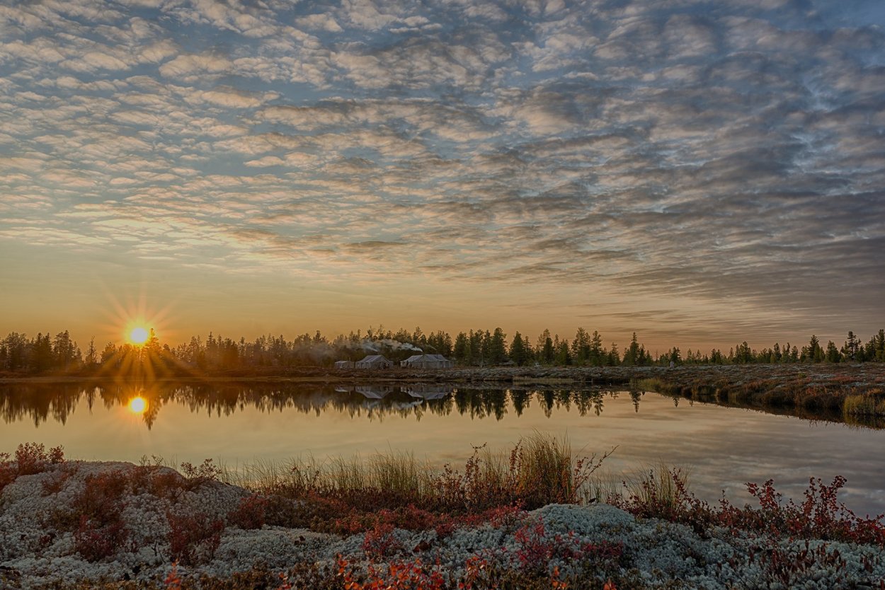 Лесотундра Ямал Весна