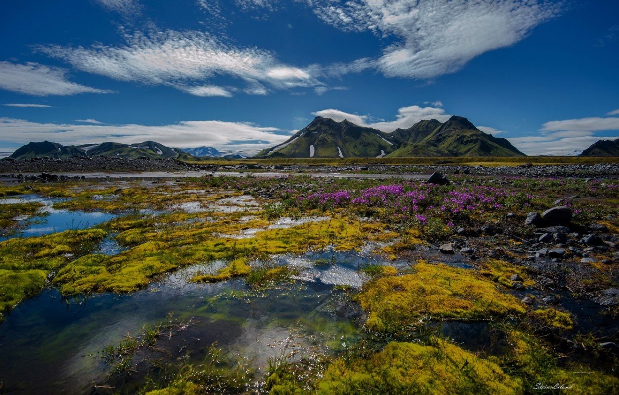 Болота Кольского полуострова