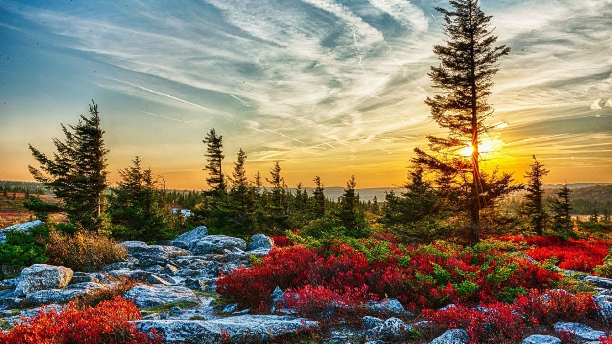 Весна Америка пейзаж