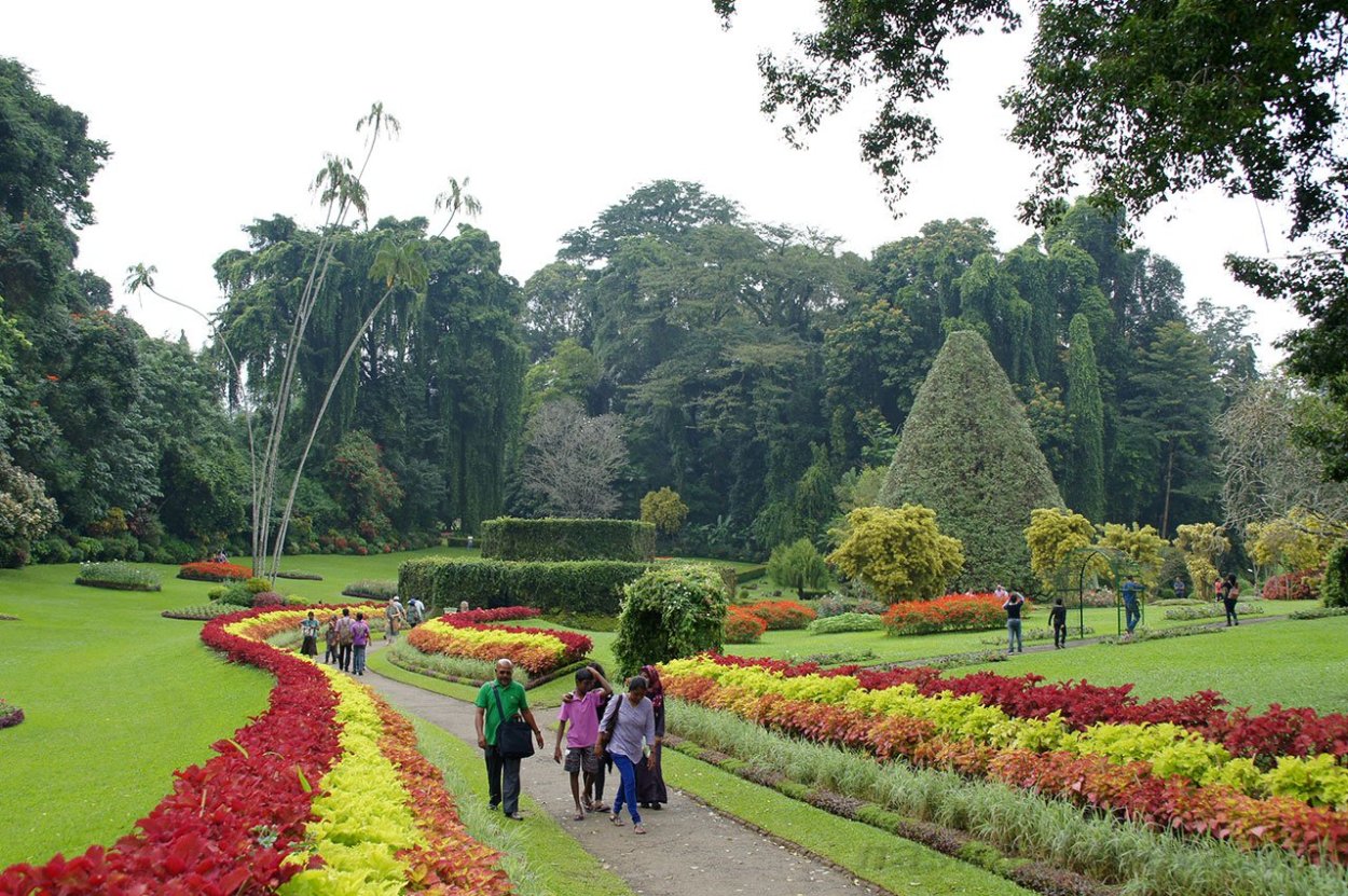 Королевский ботанический сад, Шри Ланка. Отели рядом, фото, видео, как добраться — sauna-chelyabinsk.ru