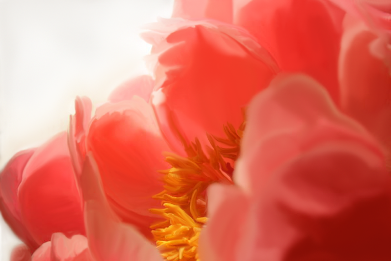 Пион Ито "Orange Victory"