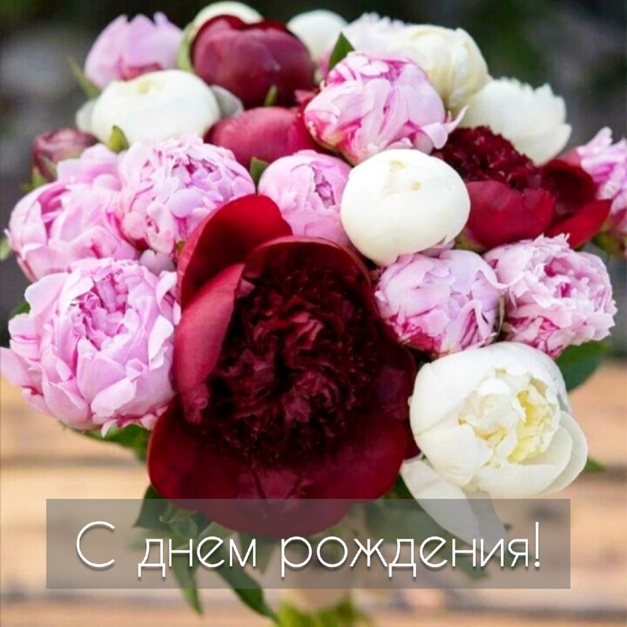 Бривидо пионы