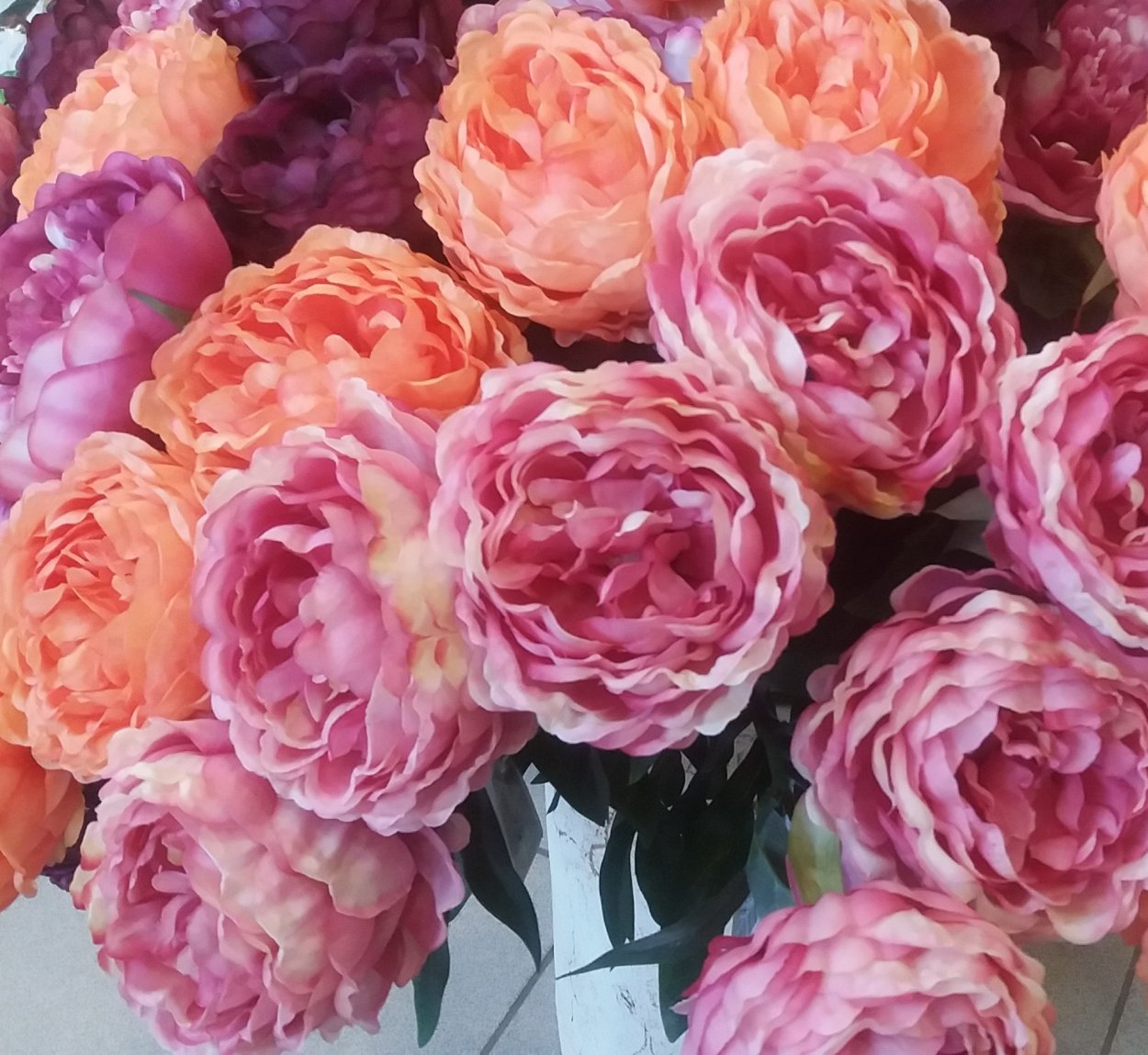 Пион Лилитоп