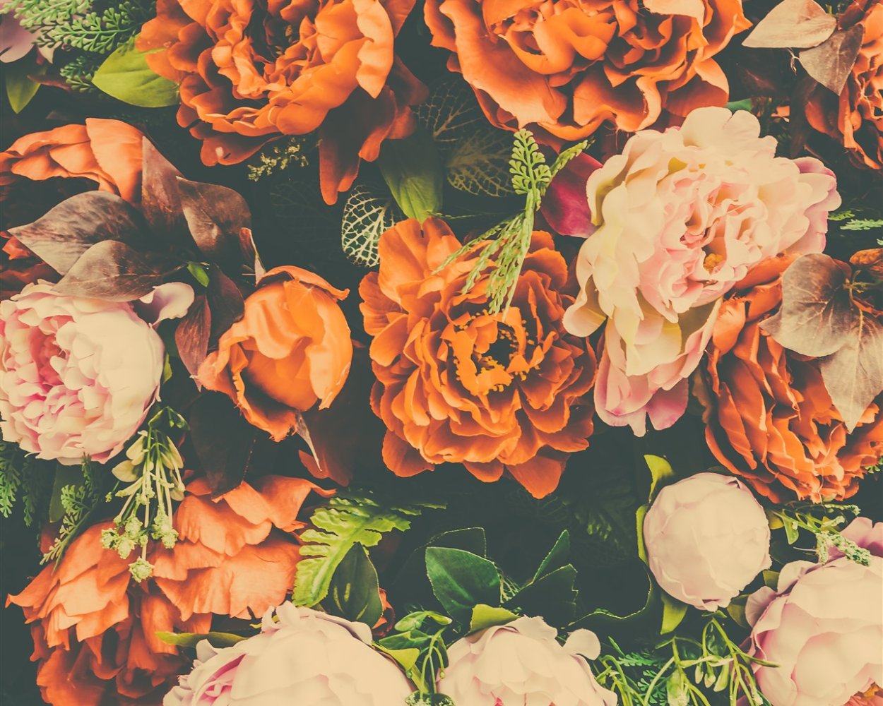 Коралловые пионы шикарные