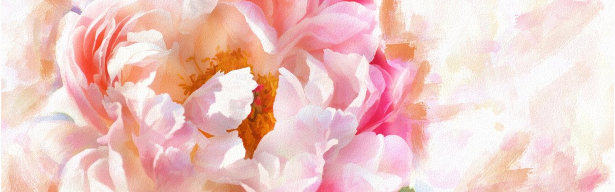 Пион лососевого цвета