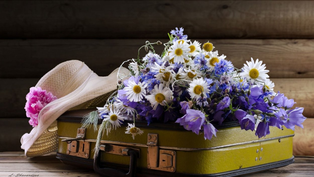 Изящество цветов