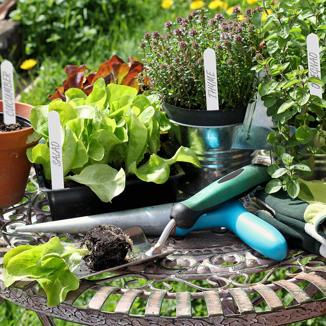 Урожай в саду