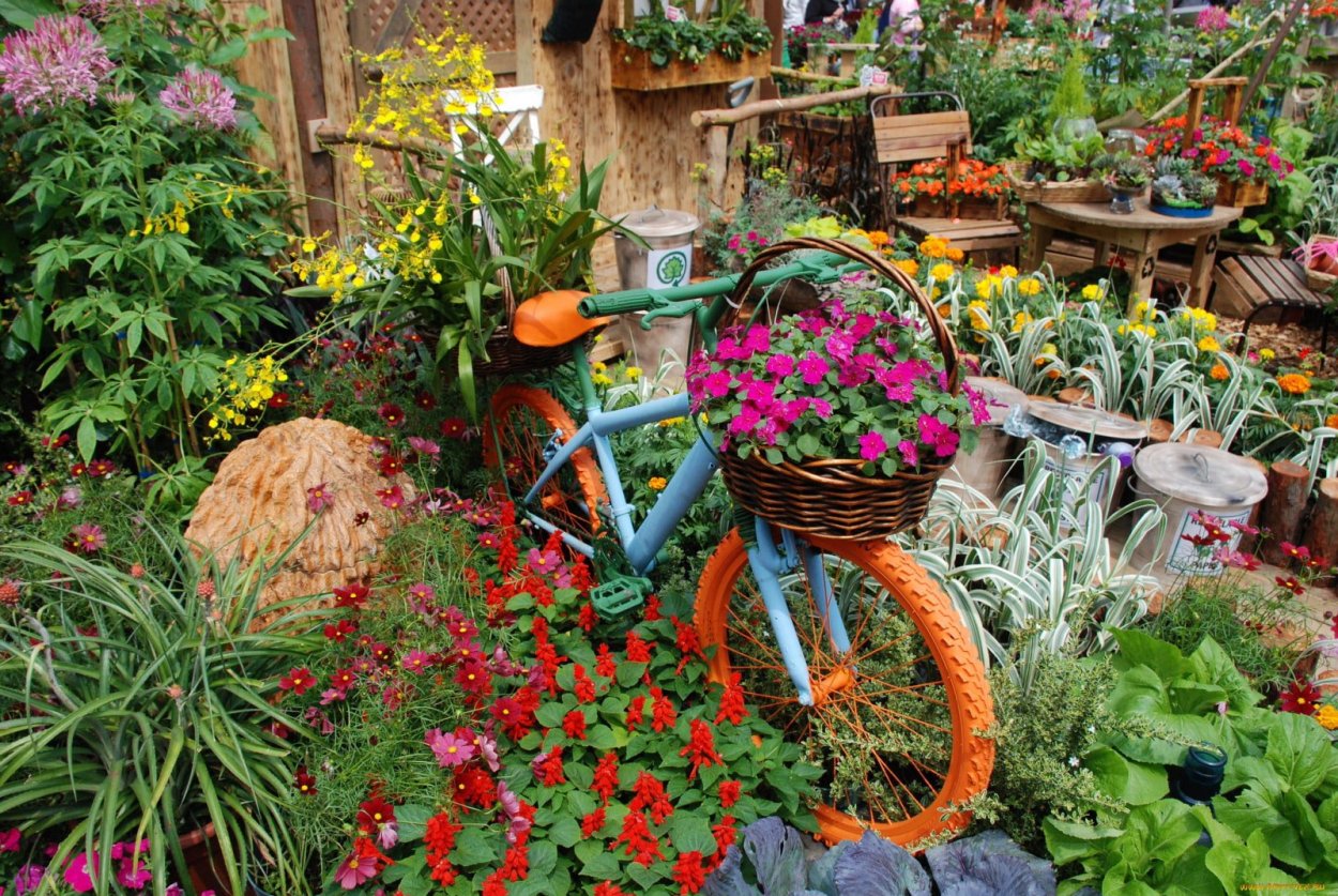 Гарден сад Garden Sad