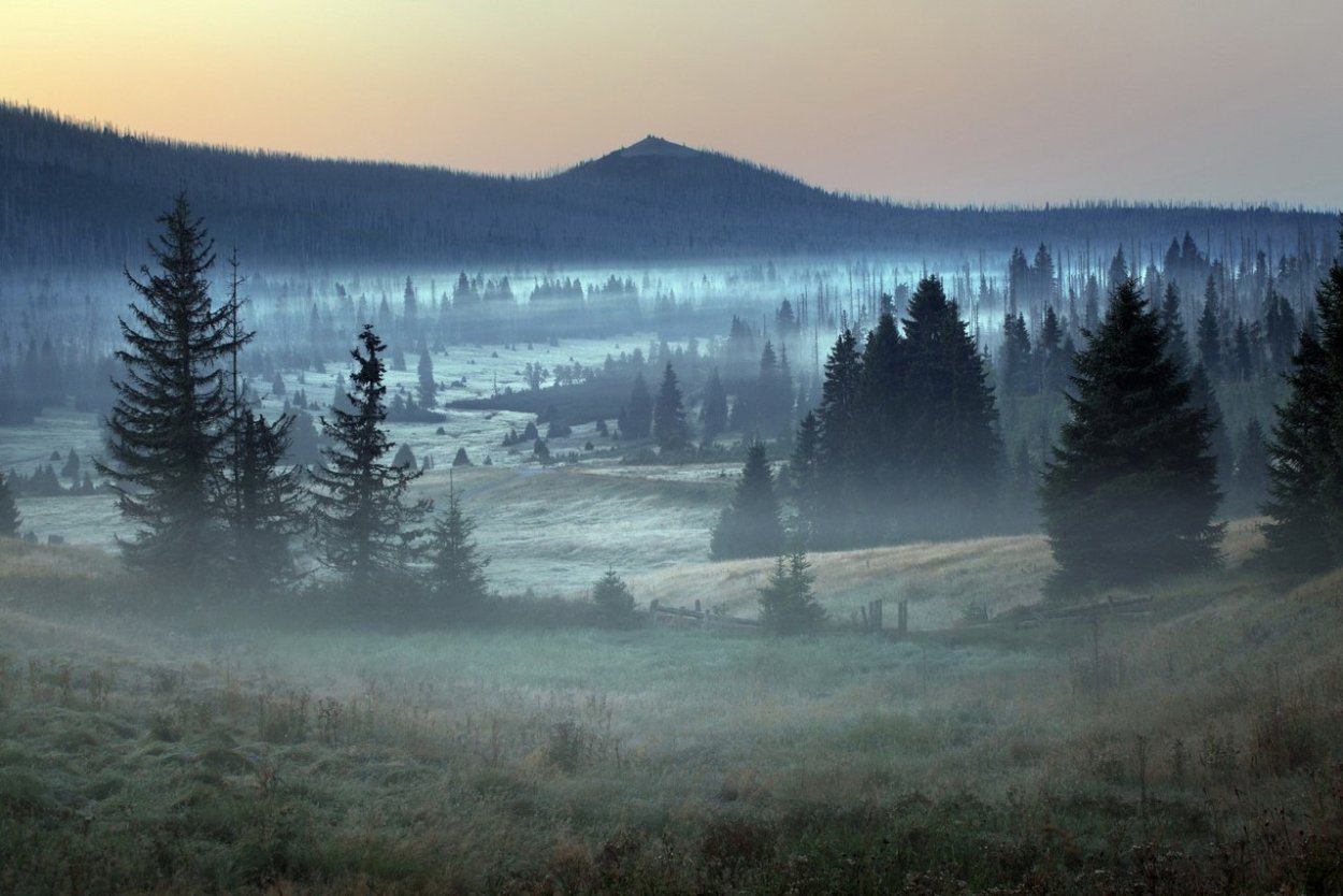 Горы туман лес Скандинавия