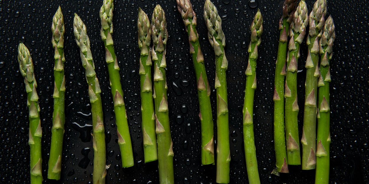 Цветок похожий на спаржу