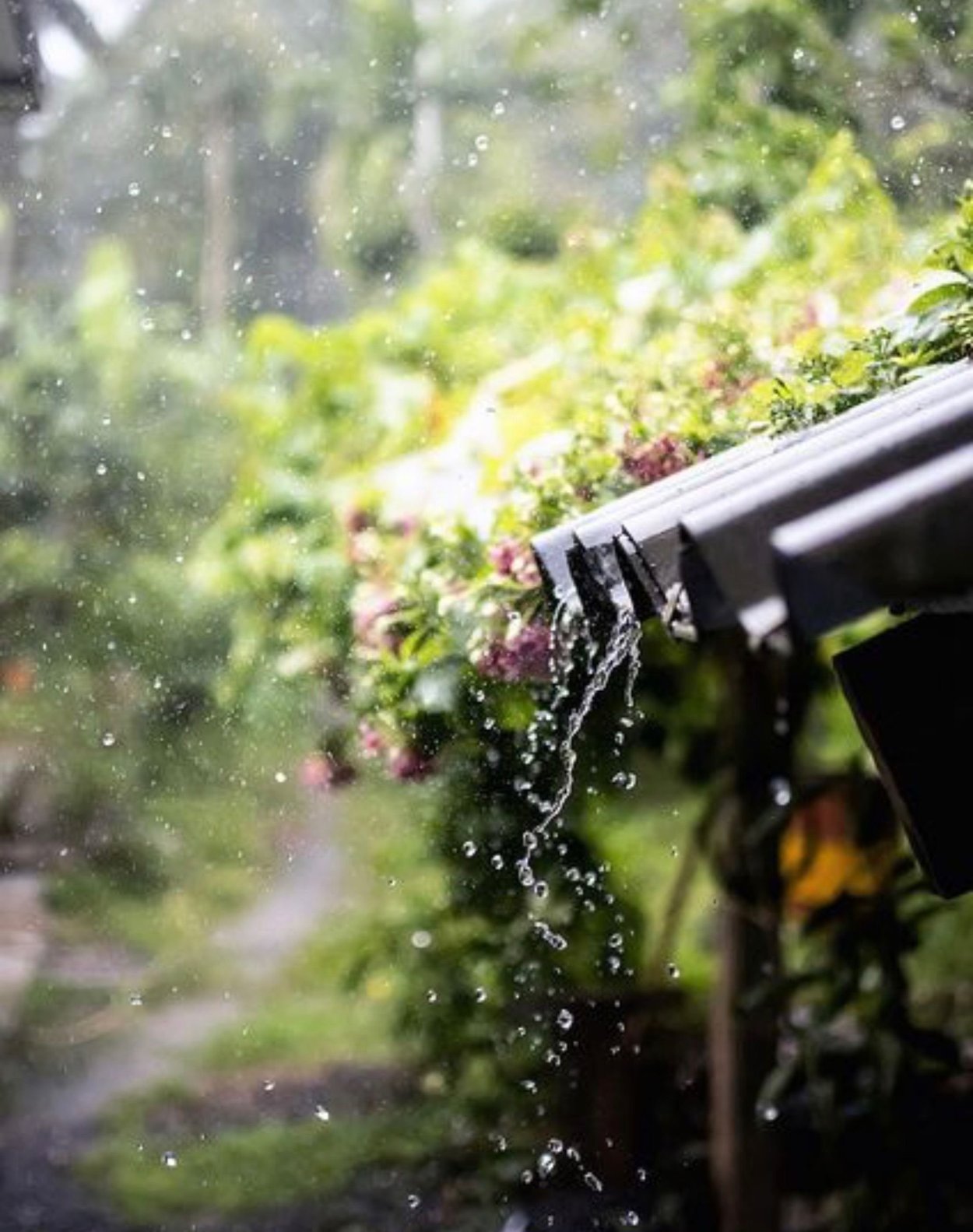 Летний дождь Эстетика