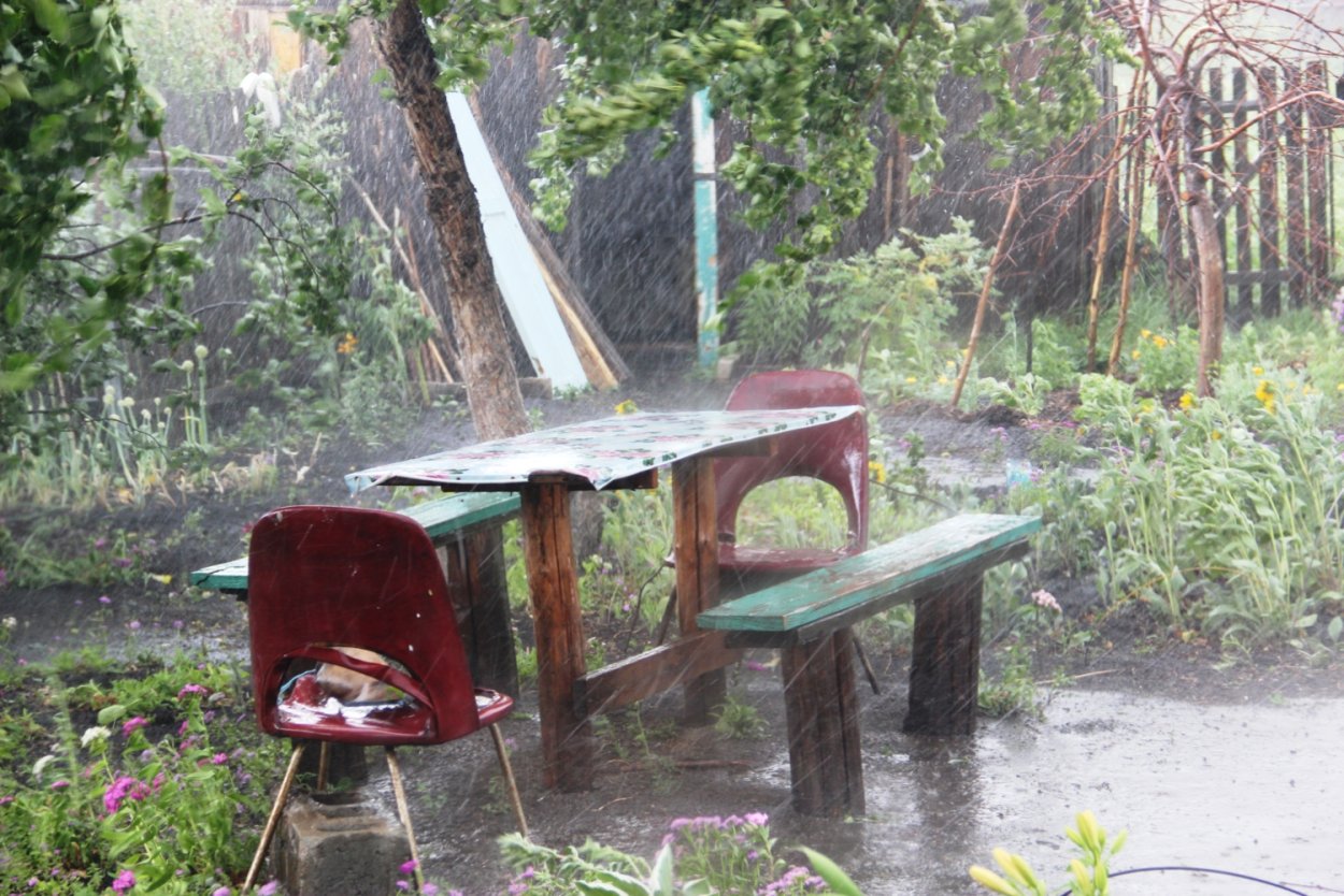 Сад после дождя