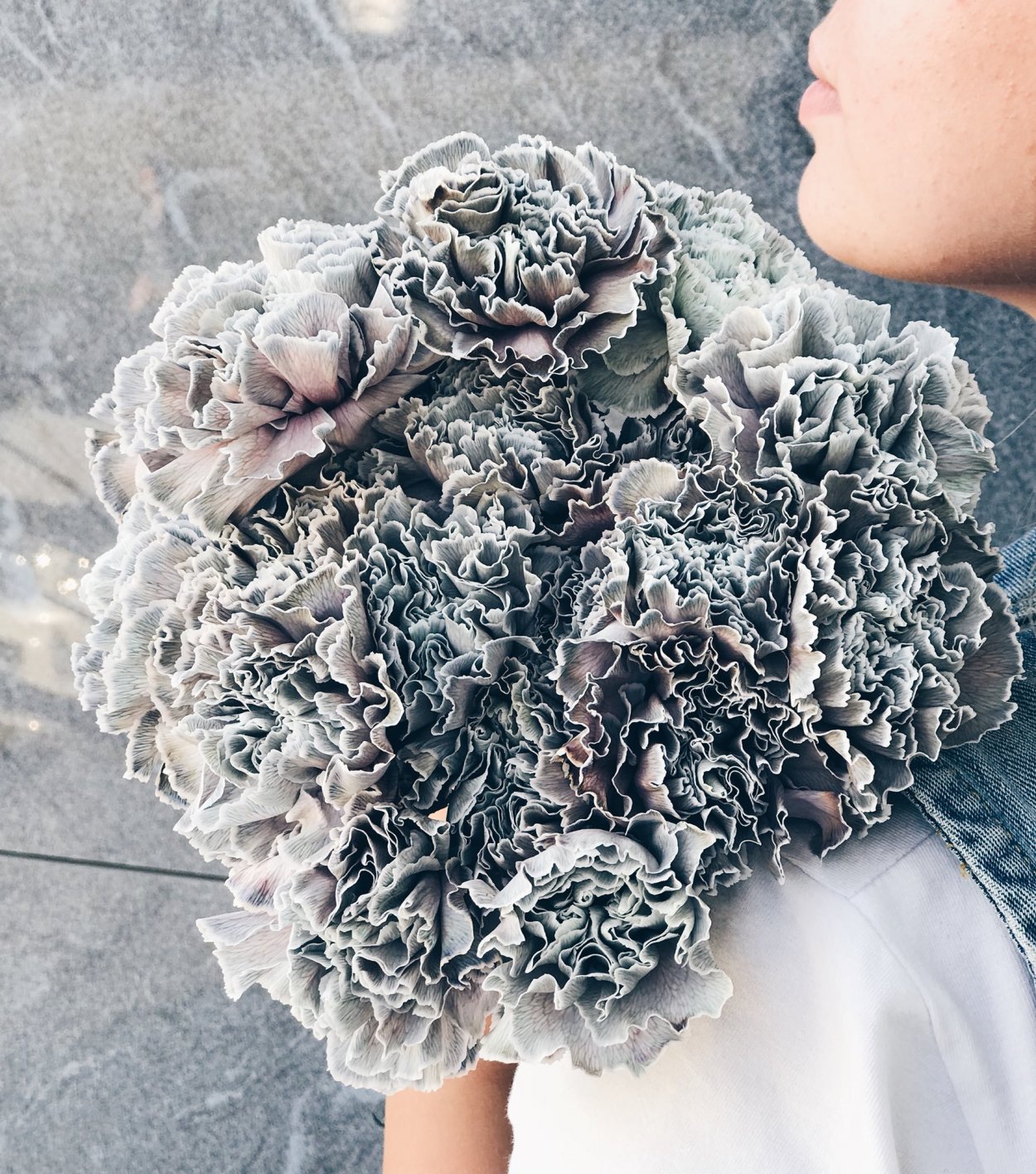 Букеты с гвоздикой Блэк Молли