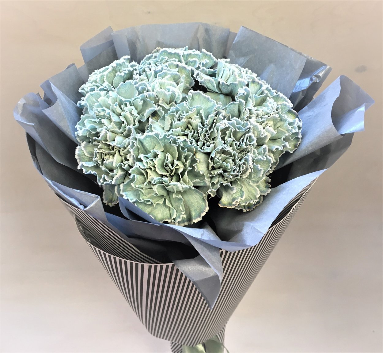 Диантус Мунлайт